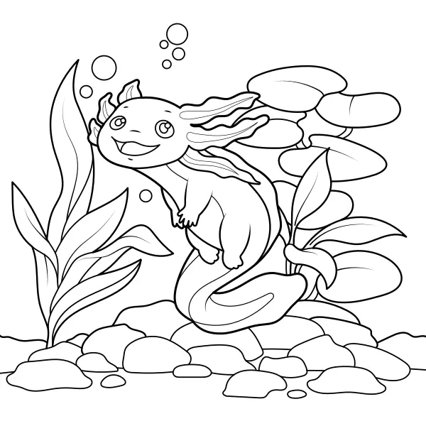 Axolotl | Online kifestők gyerekeknek