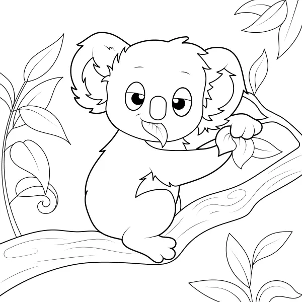 Koala | Online kifestők gyerekeknek