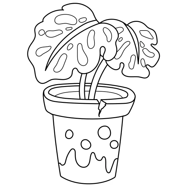 A Monstera növény | Online kifestők gyerekeknek